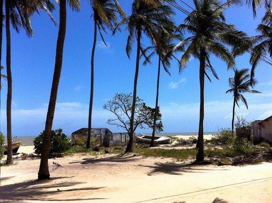 Scoop Cabana Kitesurfing Kalpitiya Exterior photo